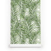 PW227517466 Green Palm Leaves Tropical Wallpaper Roll by Harmez