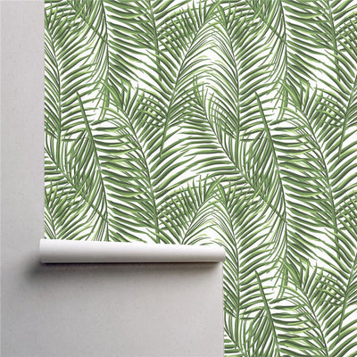 PW227517466 Green Palm Leaves Tropical Wallpaper Roll by Harmez