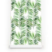 PW230144380 Green Palm Leaves Tropical Wallpaper Roll by Harmez