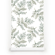 PW254940790 Green Plant Branches Anthriscus Leaves Tropical Wallpaper Roll by Harmez