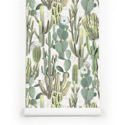 PW423305116 Succulent Cactus Tropical Wallpaper Roll by Harmez