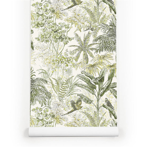 PW423330104 Palm Tree Jungle Forest with Birds Tropical Wallpaper Roll by Harmez