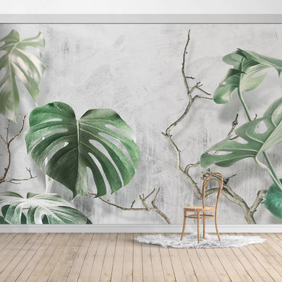 Tropical Design Wall Mural/Banana leaves  Wallpaper